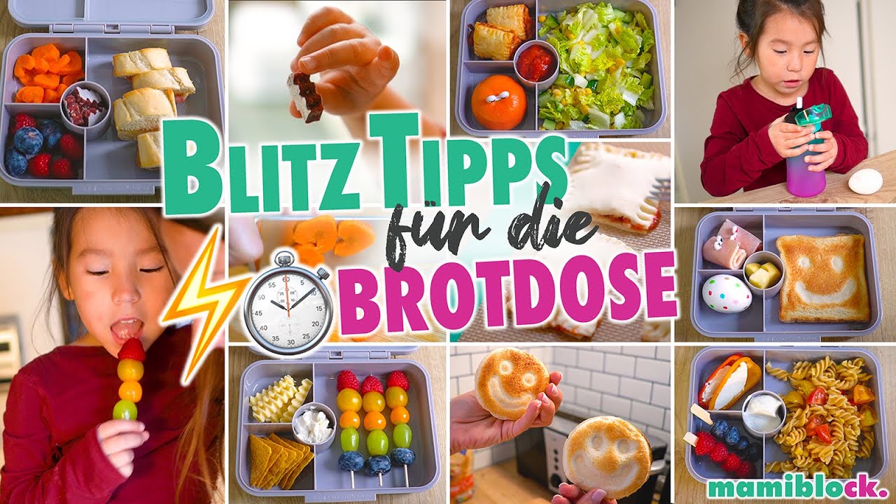 Schnelle ⚡️- Tipps für die Brotdose | Frühstück für Kita und Schule | Brotdosenvergleich